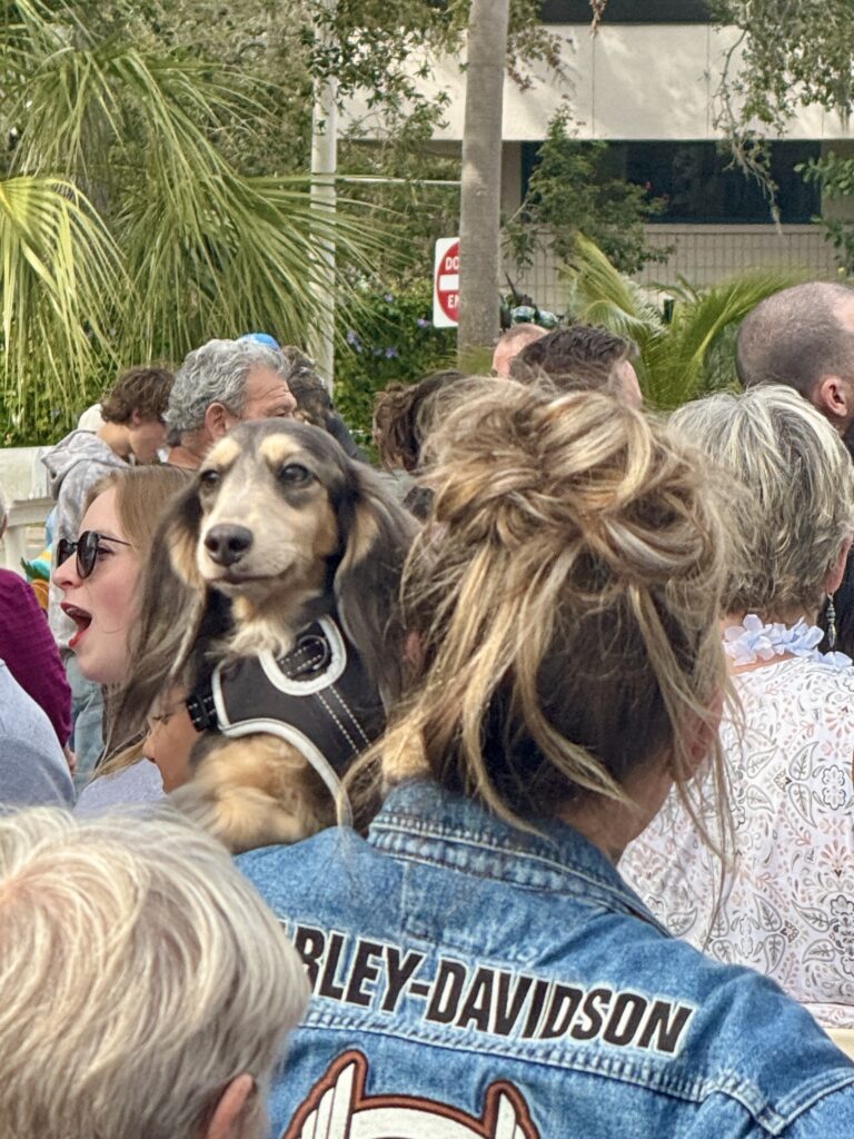 Crowd at Gulfport Gets Rescued Courtesy of Daniel Glenn